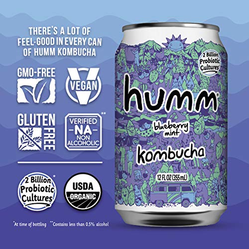 Humm Probiotic Kombucha Blueberry Mint - 2 Billion Probiotics Fo