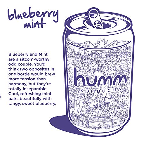 Humm Probiotic Kombucha Blueberry Mint - 2 Billion Probiotics Fo