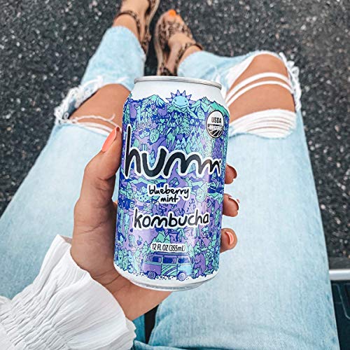 Humm Probiotic Kombucha Blueberry Mint - 2 Billion Probiotics Fo