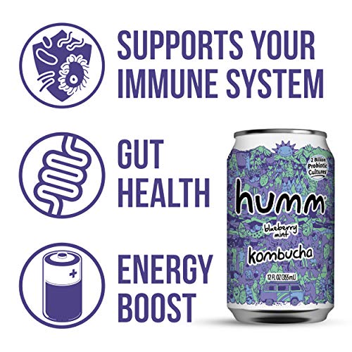 Humm Probiotic Kombucha Blueberry Mint - 2 Billion Probiotics Fo