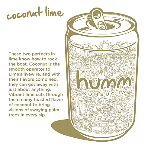 Humm Probiotic Kombucha Coconut Lime - 2 Billion Probiotics. Org