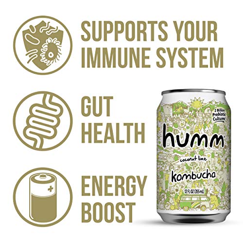 Humm Probiotic Kombucha Coconut Lime - 2 Billion Probiotics. Org