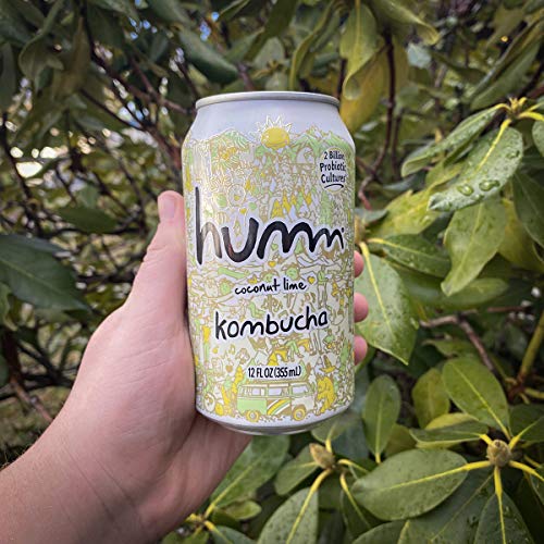 Humm Probiotic Kombucha Coconut Lime - 2 Billion Probiotics. Org