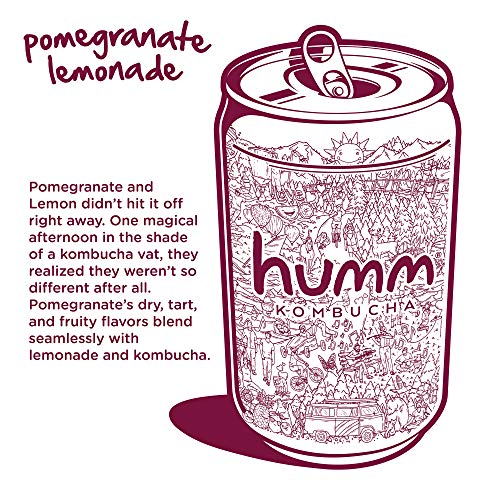 Humm Probiotic Kombucha Pomegranate Lemonade - 2 Billion Probiot