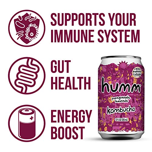 Humm Probiotic Kombucha Pomegranate Lemonade - 2 Billion Probiot