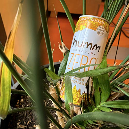 Humm Probiotic Kombucha Zero Sugar Ginger Lemonade - No Refriger