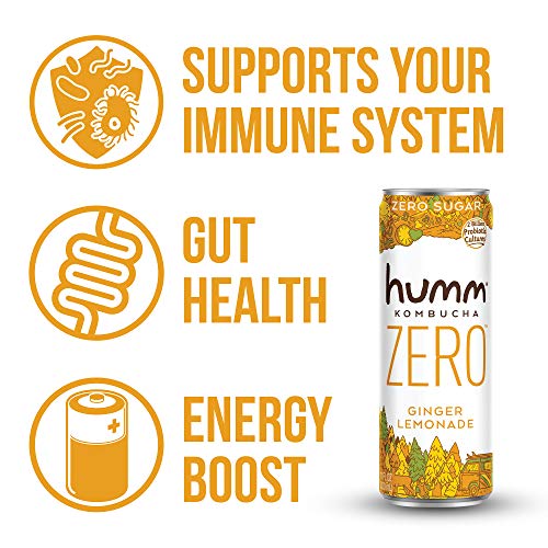 Humm Probiotic Kombucha Zero Sugar Ginger Lemonade - No Refriger