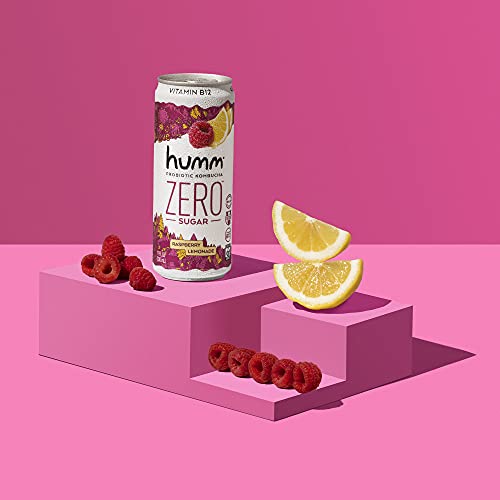 Humm Kombucha Zero Sugar Raspberry Lemonade - Live And Raw Organ