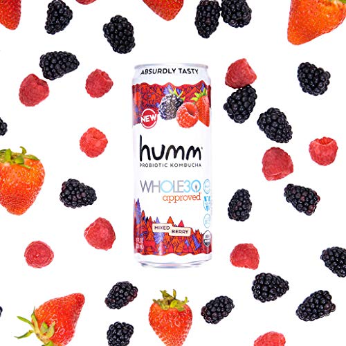 Humm Whole30 Approved Probiotic Kombucha Mixed Berry - The Only