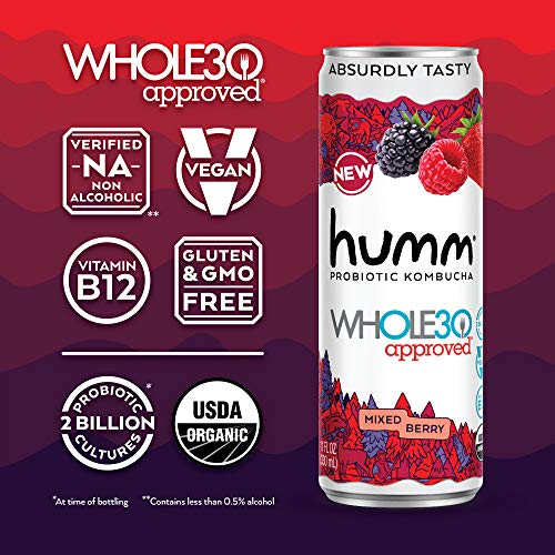 Humm Whole30 Approved Probiotic Kombucha Mixed Berry - The Only