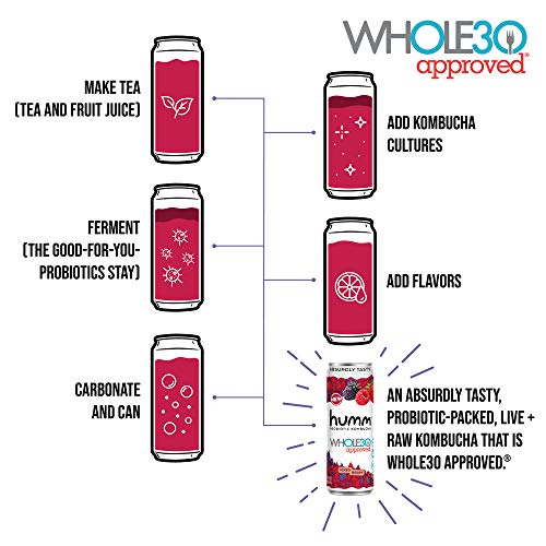 Humm Whole30 Approved Probiotic Kombucha Mixed Berry - The Only
