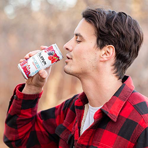 Humm Whole30 Approved Probiotic Kombucha Mixed Berry - The Only