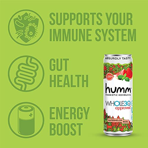 Humm Whole30 Approved Probiotic Kombucha Watermelon Basil - The