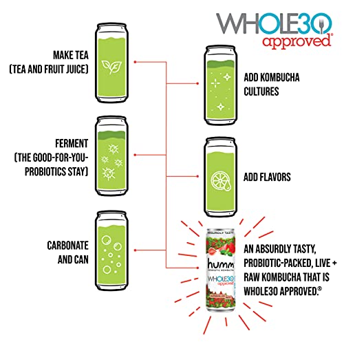 Humm Whole30 Approved Probiotic Kombucha Watermelon Basil - The