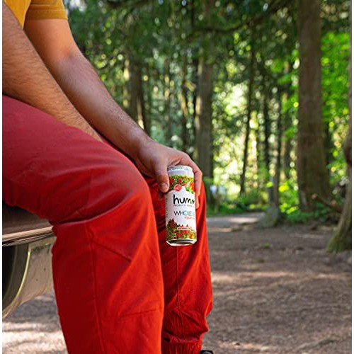 Humm Whole30 Approved Probiotic Kombucha Watermelon Basil - The