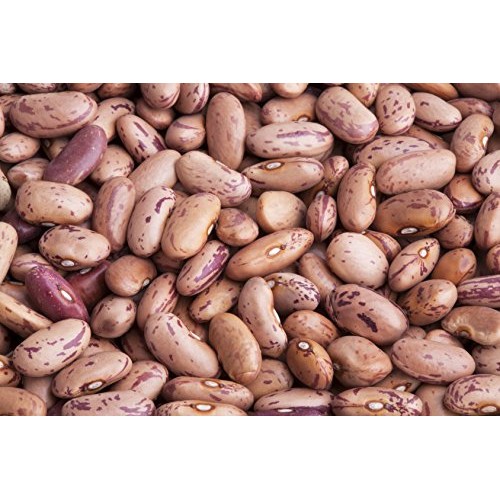 Hunza Organic Cranberry Beans 2 Lbs