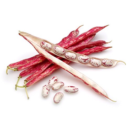 Hunza Organic Cranberry Beans 2 Lbs