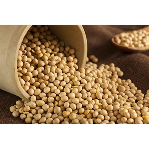Hunza Organic Soybeans 2 Lbs