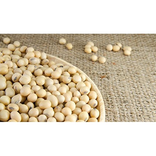 Hunza Organic Soybeans 2 Lbs