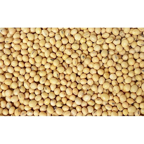 Hunza Organic Soybeans 2 Lbs