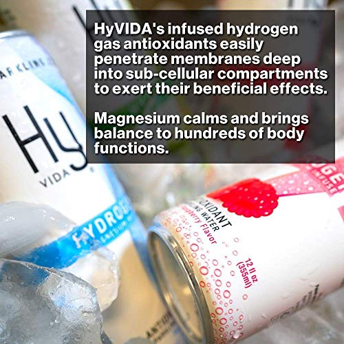 Hyvida Hydrogen Infused Sparkling Water Beverage – Organically F