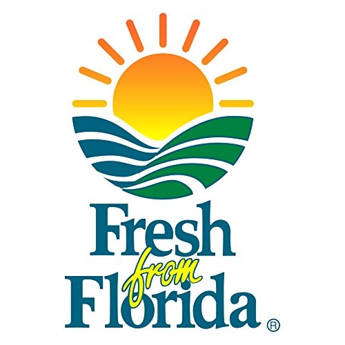 I Heart Bees - Fall Blend Honey - 32 Ounces - Raw And Unfiltered