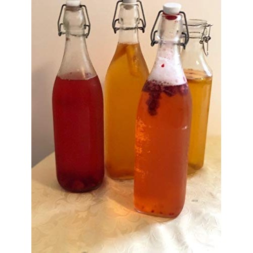 Ibiv Kombucha Scoby Live Starter Culture For Healthy Raw Premium