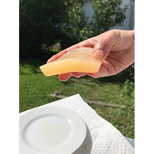 Ibiv Kombucha Scoby Live Strong Starter Tea Culture For Healthy