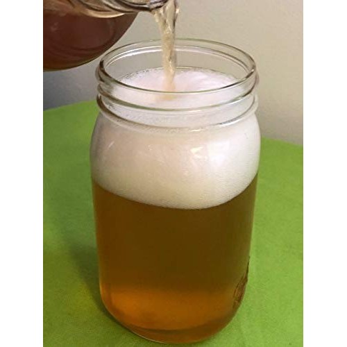 Ibiv Kombucha Scoby Live Strong Starter Tea Culture For Healthy