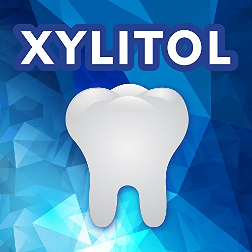 Ice Breakers Sugar Free Mints, Wintergreen 1.5 Ounce Pack Of 8