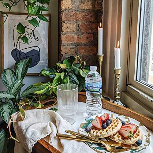 Ice Mountain Bottled Spring Water, 128 Oz