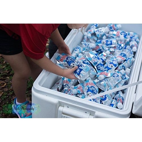 Icee Slush 6 Fl Oz Pouches, Blue Raspberry, 12 Count Icee Slush 6 Fl Oz Pouches, Blue Raspberry, 12 Count