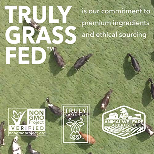 Iconic Low Carb High Protein Drinks, Vanilla Bean, 11.5Oz, 12 Pack