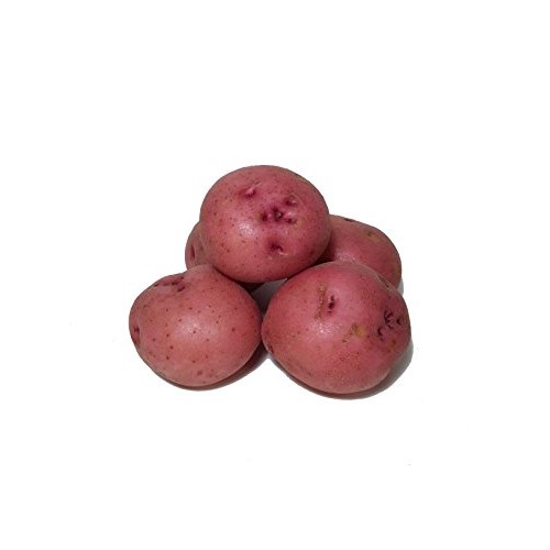 Potatoes Fresh Idaho Russet And Red Produce Bundle