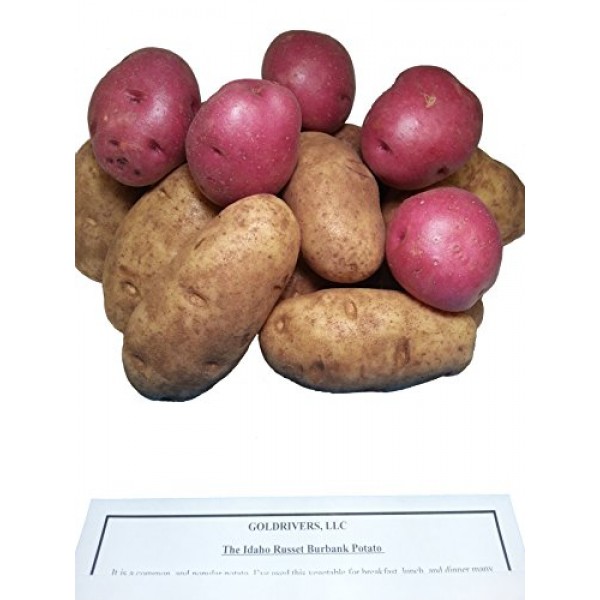 Potatoes Fresh Idaho Russet and Red Produce Bundle