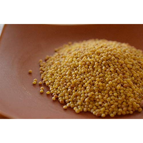 Ikshvaku Organics Proso Millet | Chena | Broomcorn | Natural Ind