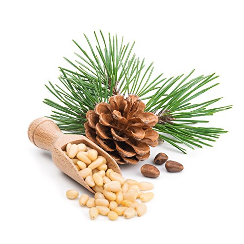 Raw Pine Nuts 1 Lb Whole And Natural No Ppo, Steam Pasteurized