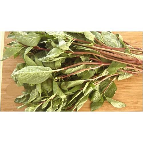 Fresh Thai Basil - 16 Oz Approx 30 Stalks