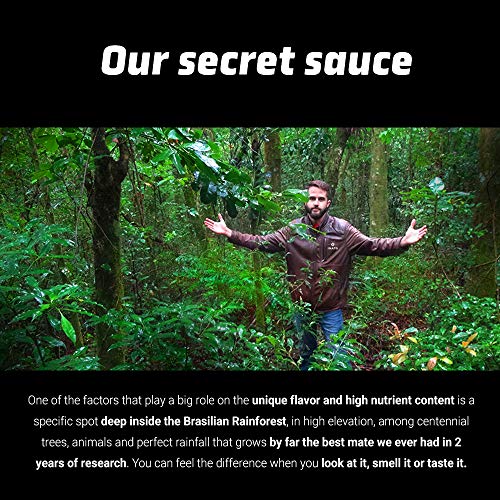 Inato Premium Yerba Mate | Special Grade | Organic | Rainforest