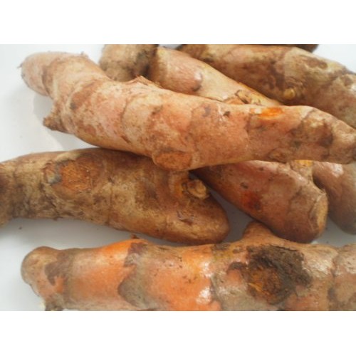Fresh Yellow Turmeric Root - 1lb