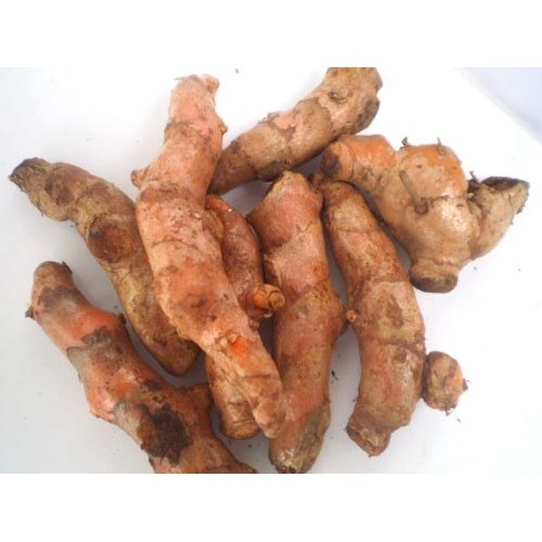 Fresh Yellow Turmeric Root - 1lb