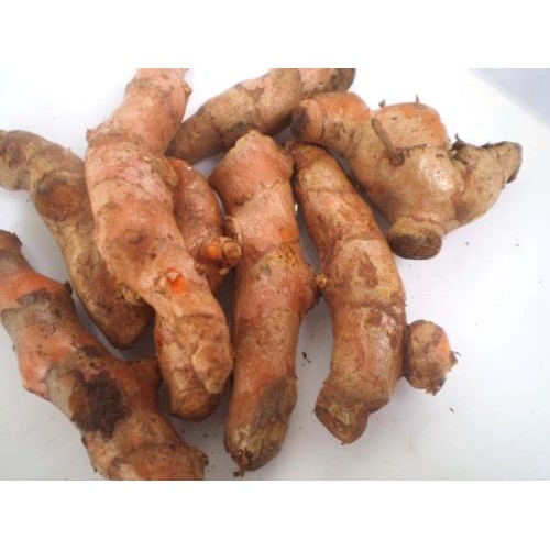 Fresh Yellow Turmeric Root - 1lb