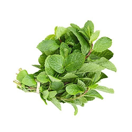 Mint Leaves / Fresh - 0.75Oz Bag