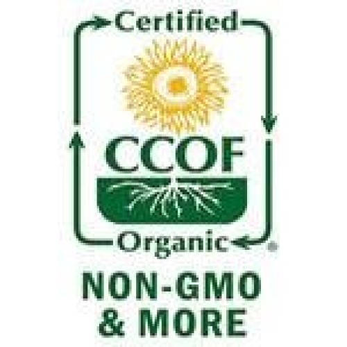 Indus Organics Allspice Berries, 12 Oz Bag, Premium Grade, High