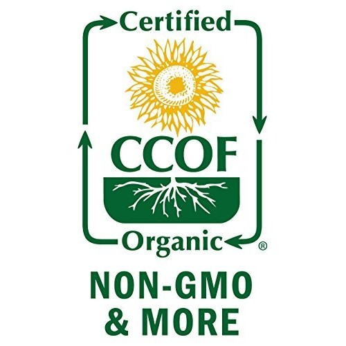 Indus Organics Allspice Berries, 6 Oz Jar, Premium Grade, High P