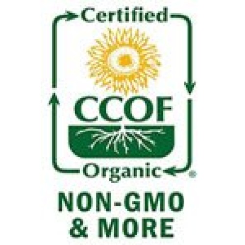 Indus Organics Clove Whole, 3 Oz Bag, Premium Grade, Hand Picked