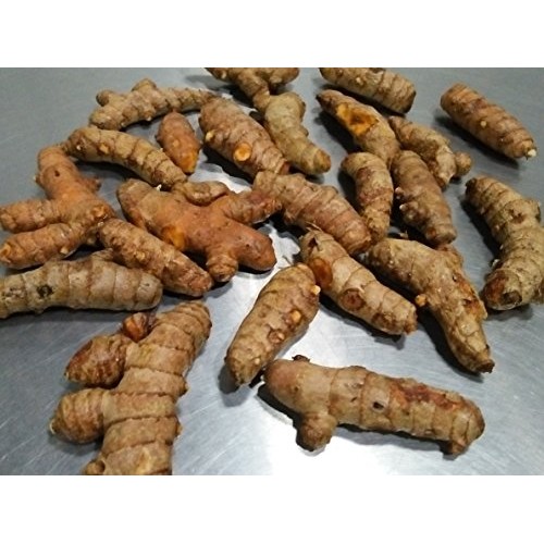 Indus Organics Turmeric Curcumin 1 Lb,Refill Bag, , Premium Gr