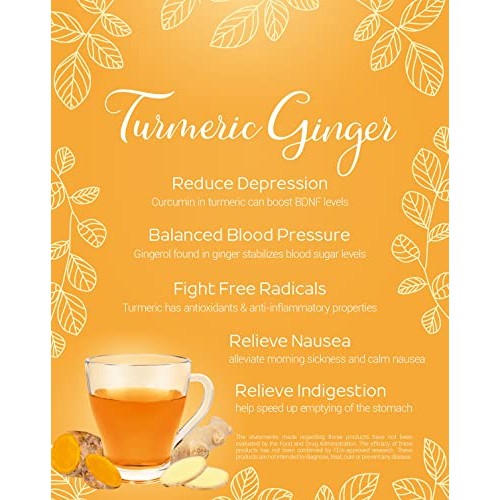 Infini Vita Turmeric Ginger Tea 30 Bags - Support Healthy Digest...