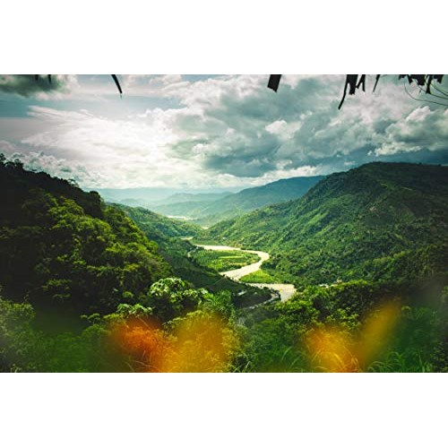 Inka Crops Inka Chips, Sweet Plantain Chips, 3.25 Ounce Pack Of