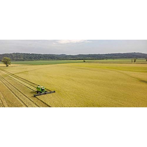 Inland Cape Rice, Long-Grain White Rice - Non-Gmo, Usa Grown, 2